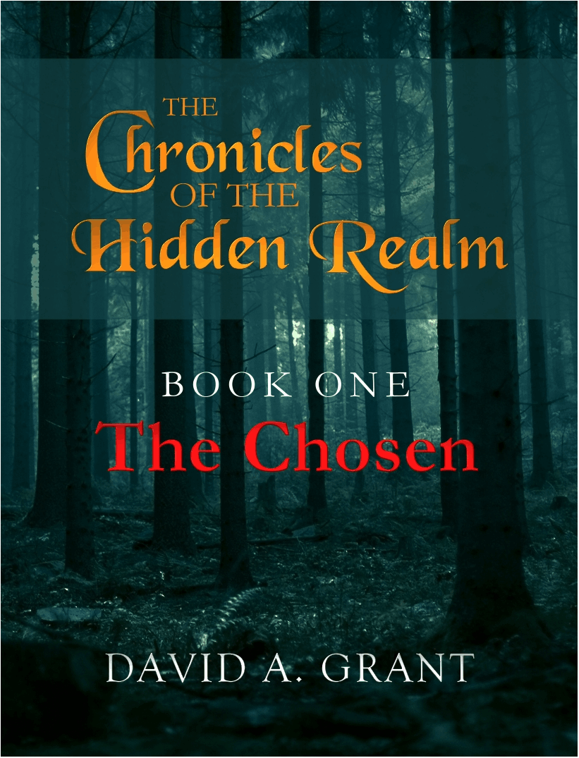 Chronicles of the Hidden Realm